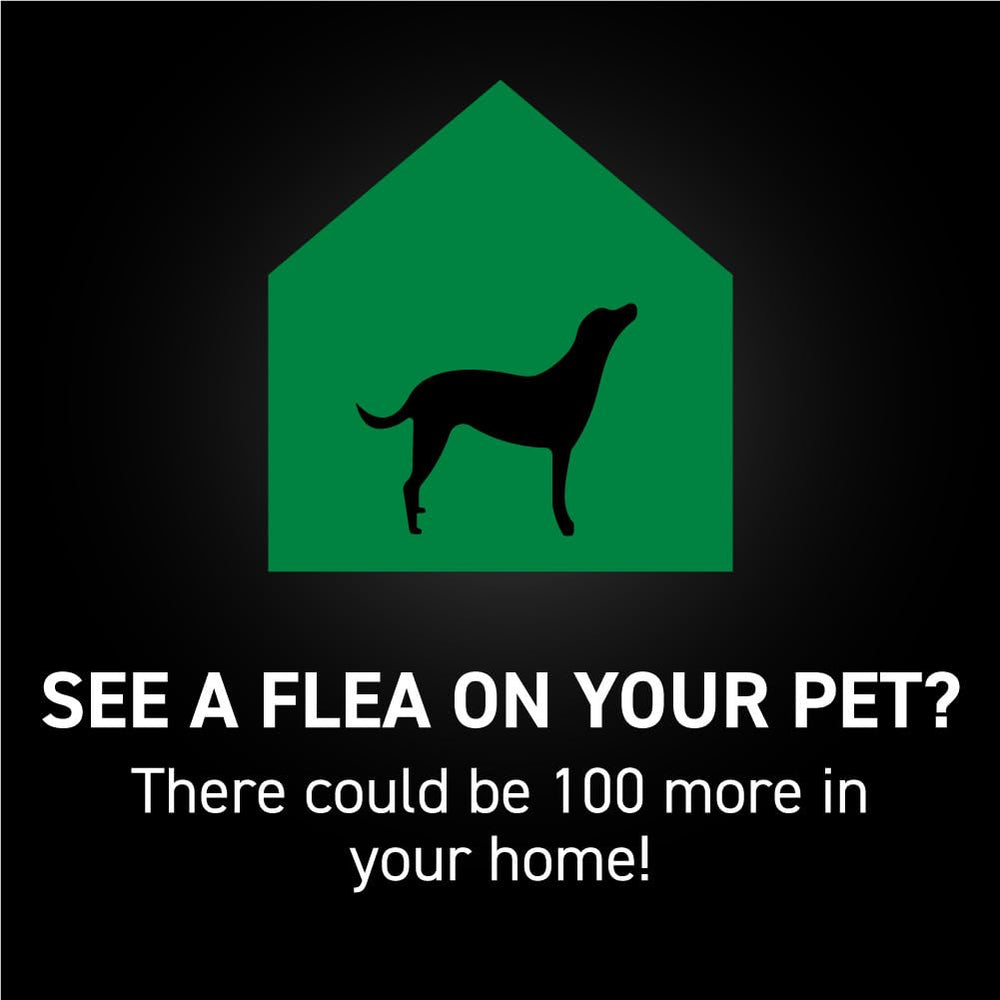 NEXTSTAR monthly-dose pack for consistent dog protection.