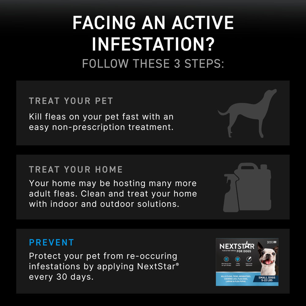NEXTSTAR protection starts within 15 minutes after application for dogs.