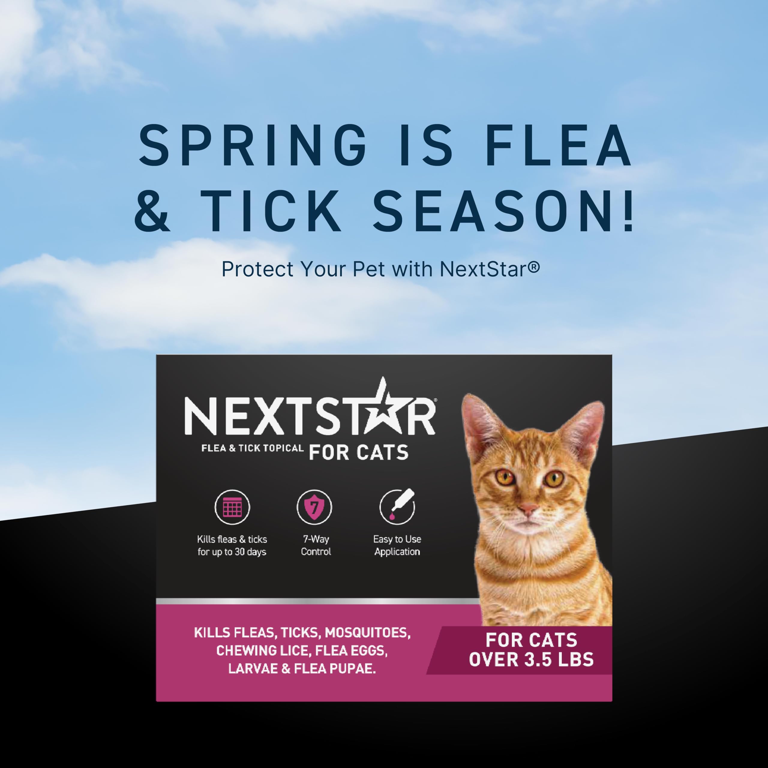NEXTSTAR quick-action topical application shown on cat skin.
