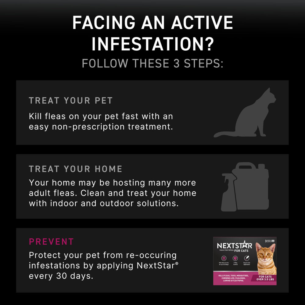 NEXTSTAR simple monthly dosing for cats with no prescription needed.