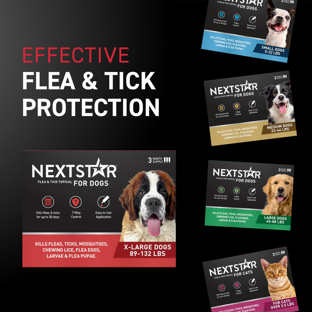 NEXTSTAR thirty-day protection for fleas and ticks on a dog.