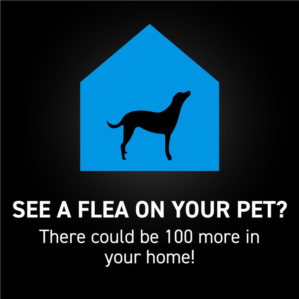 NEXTSTAR veterinarian recommended topical option supports preventive care at home.