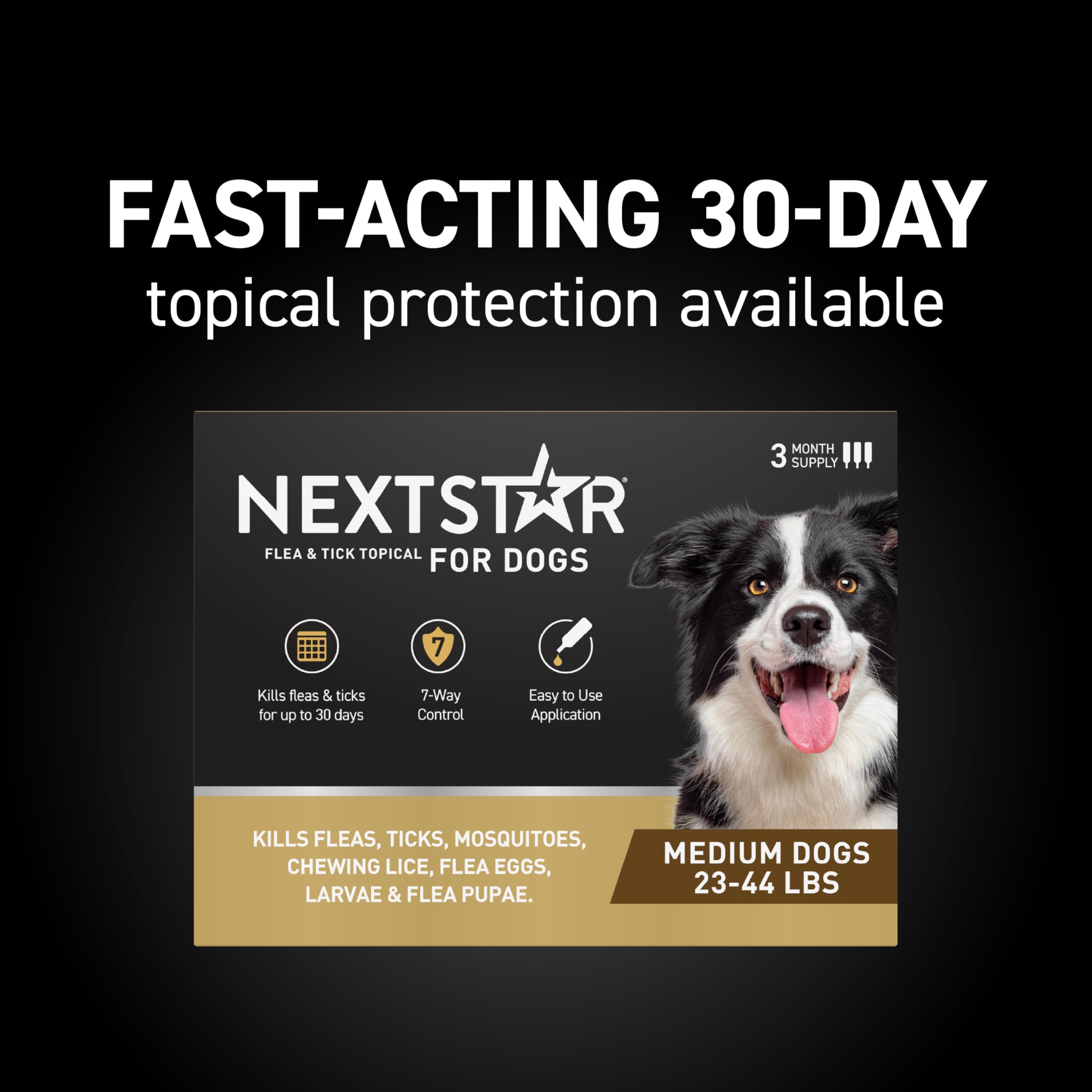 NEXTSTAR waterproof drops on dog skin illustrate all-day protection.