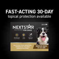 Waterproof NEXTSTAR formula stays on during rain and play