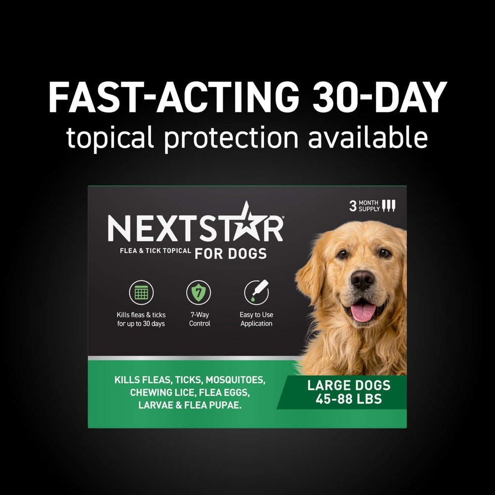 NEXTSTAR waterproof topical drops bottle ready for quick application