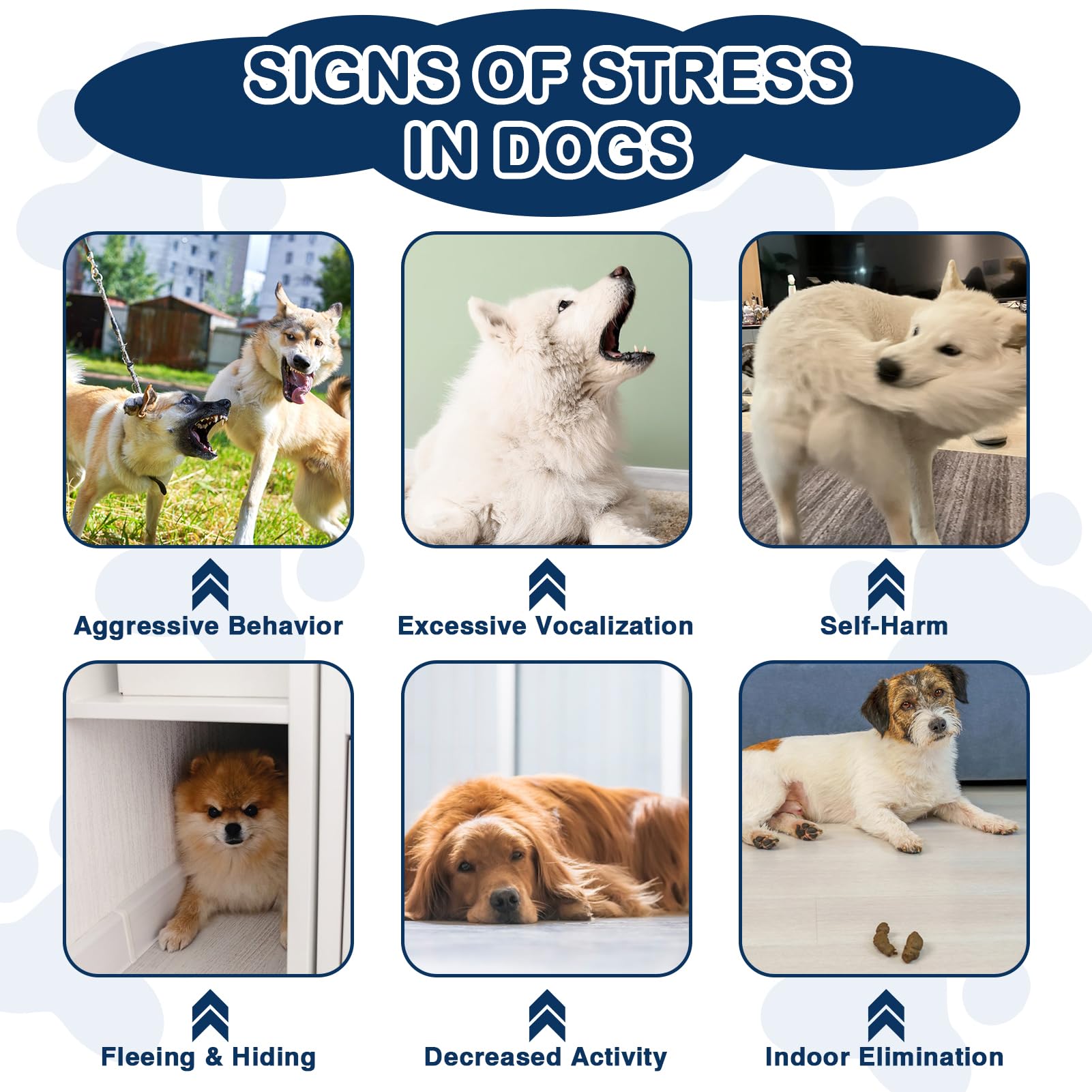 NEXZL calming chews during fireworks scene; promotes a calmer reaction.