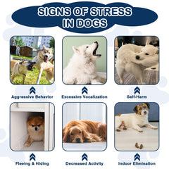 NEXZL calming chews during fireworks scene; promotes a calmer reaction.