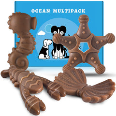 NEZIN dog chew toy with ocean starfish design, durable for aggressive chewers and long chew sessions