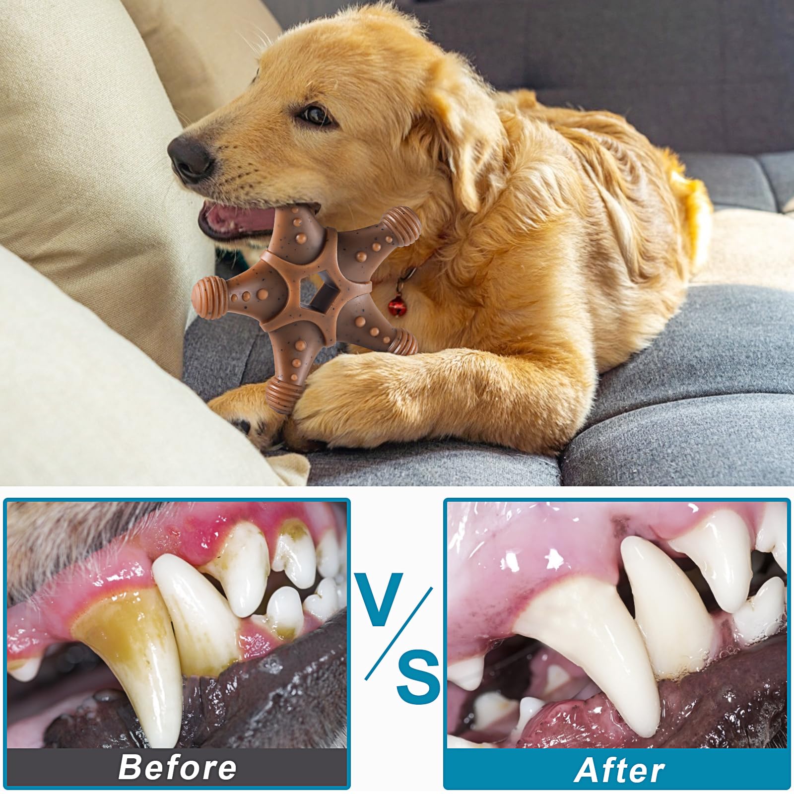 NEZIN paw-friendly grip chew toy, helps dogs grab and start chewing quickly