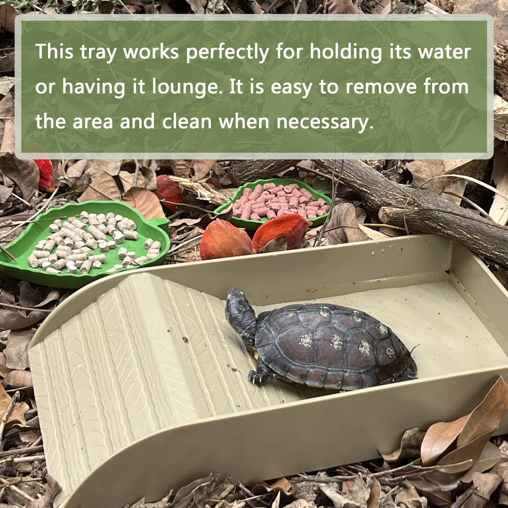 NGORAY tortoise feeding dish cleaning clip; simplifies maintenance.