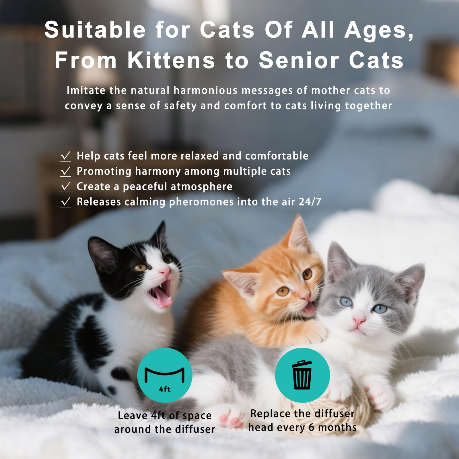 NHMFMLZW cat diffuser kit packaging highlighting value and setup simplicity