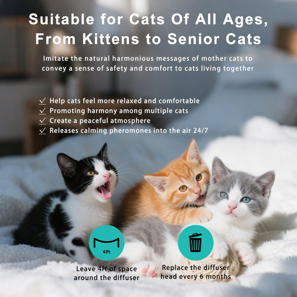 NHMFMLZW cat diffuser kit packaging highlighting value and setup simplicity