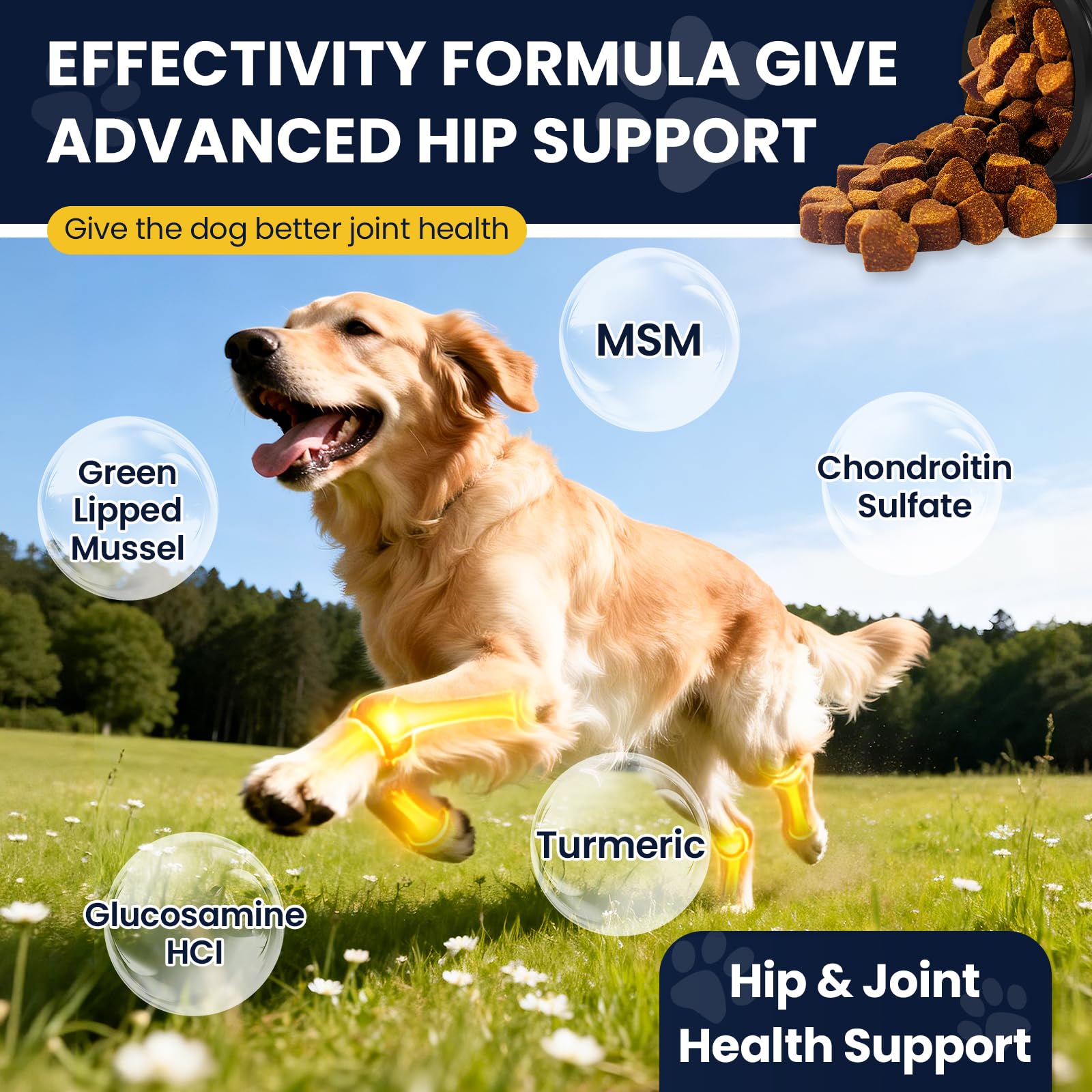 NHWHDJH green-lipped mussel dog supplement aids joint comfort and mobility