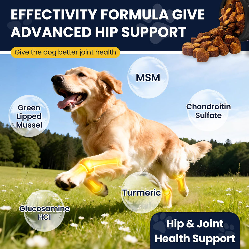 NHWHDJH green-lipped mussel dog supplement aids joint comfort and mobility