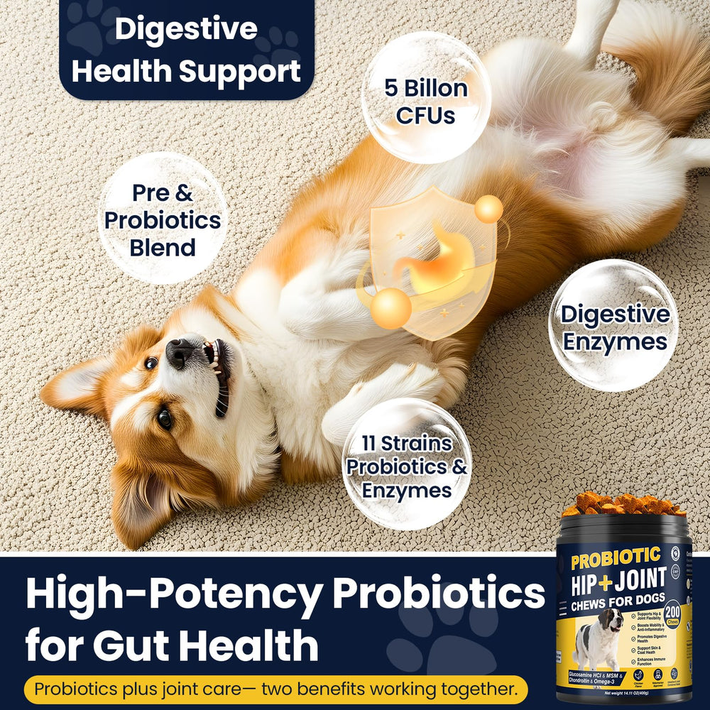 NHWHDJH omega-3 dog coat support for healthier fur and skin