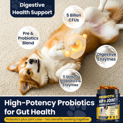 NHWHDJH omega-3 dog coat support for healthier fur and skin