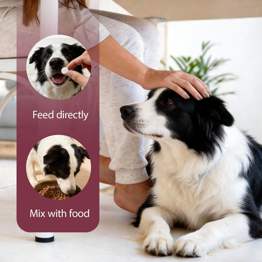 Nice2CU fenbendazole dewormer for dogs administration scene depicts giving a tablet.