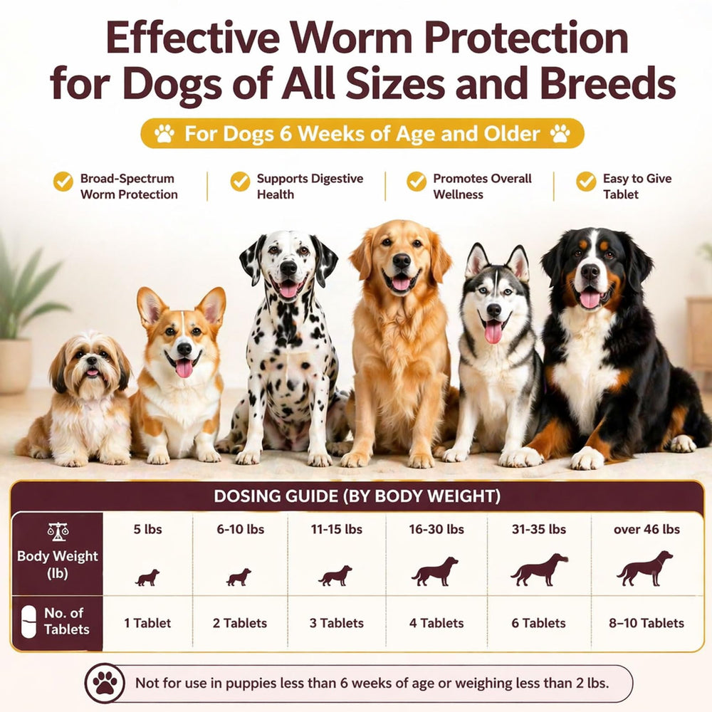 Nice2CU fenbendazole dewormer for dogs storage bottle image emphasizes room temperature storage.