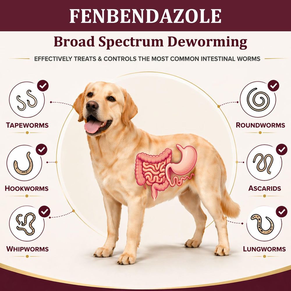Nice2CU fenbendazole dewormer for dogs tablets close-up showing easy administration.