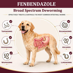 Nice2CU fenbendazole dewormer for dogs tablets close-up showing easy administration.