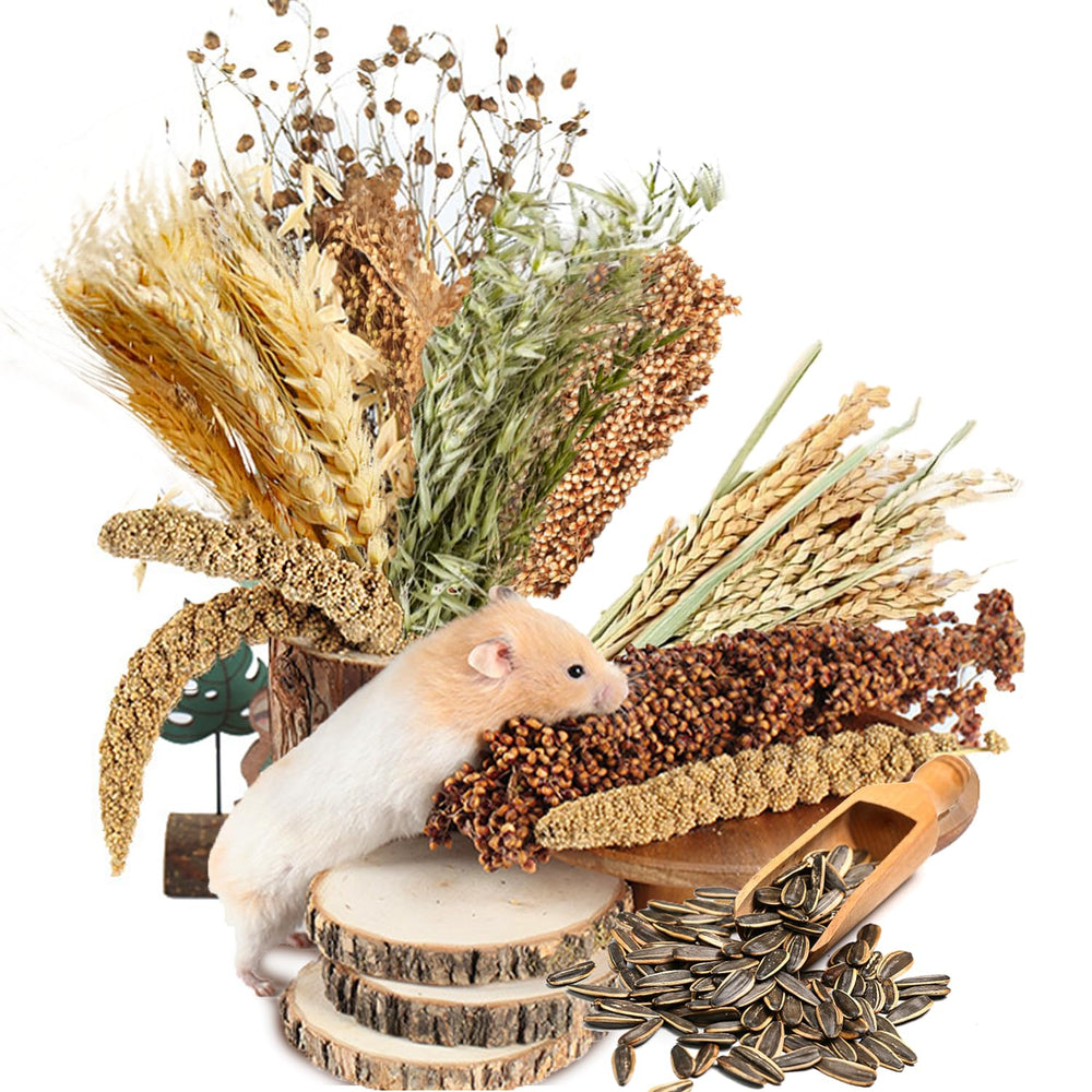 NICERINC PET ear-of-grain flower bedding ensemble adds natural color to hamster habitat.