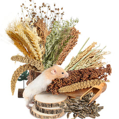 NICERINC PET ear-of-grain flower bedding ensemble adds natural color to hamster habitat.