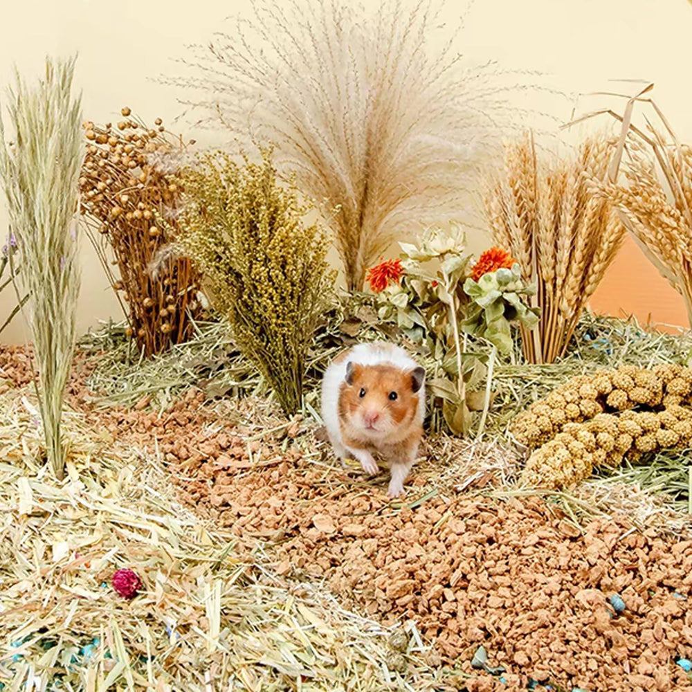NICERINC PET flax and wheat grains offer varied textures for nibbling.