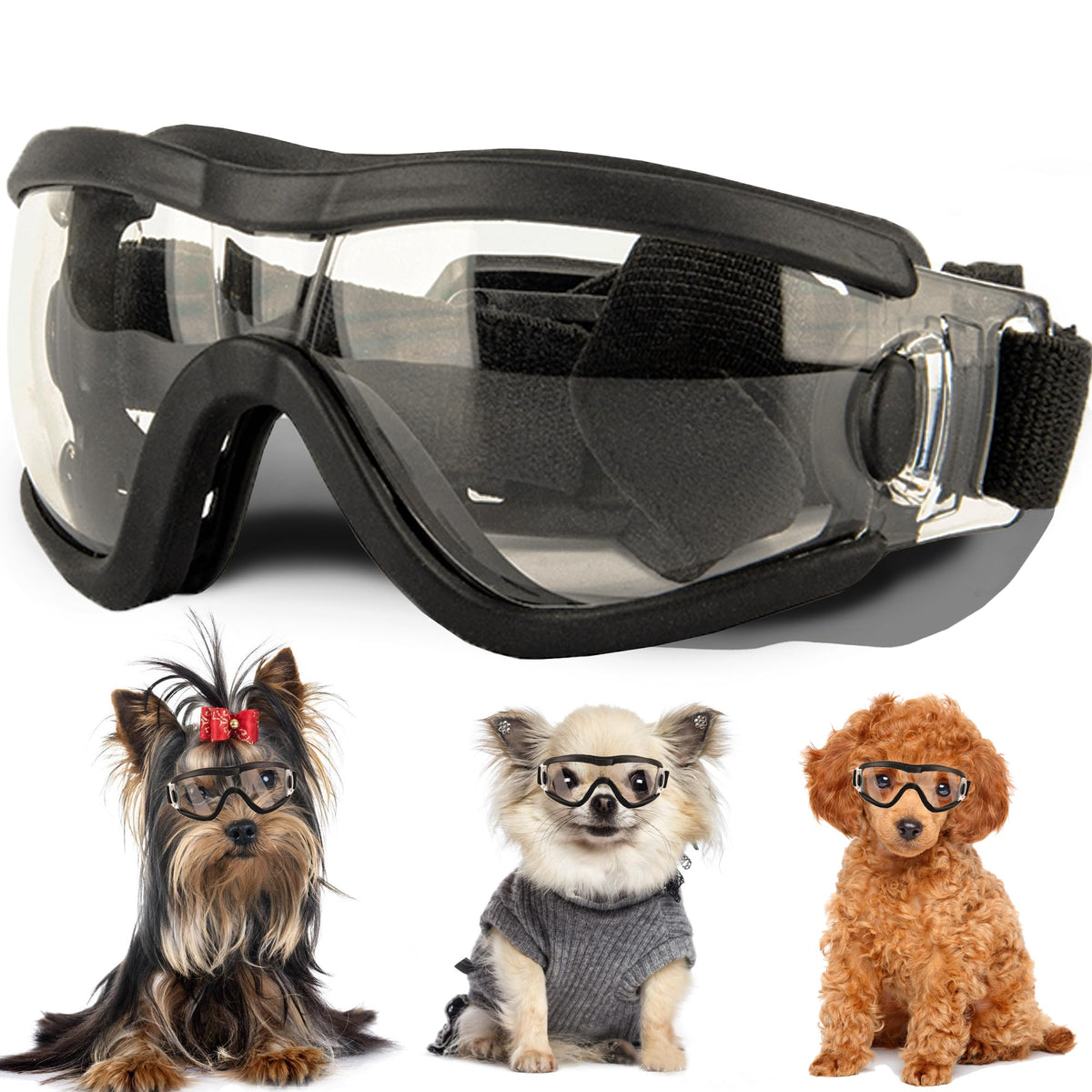 Nicerinc Pet small dog sunglasses with adjustable strap for a secure fit