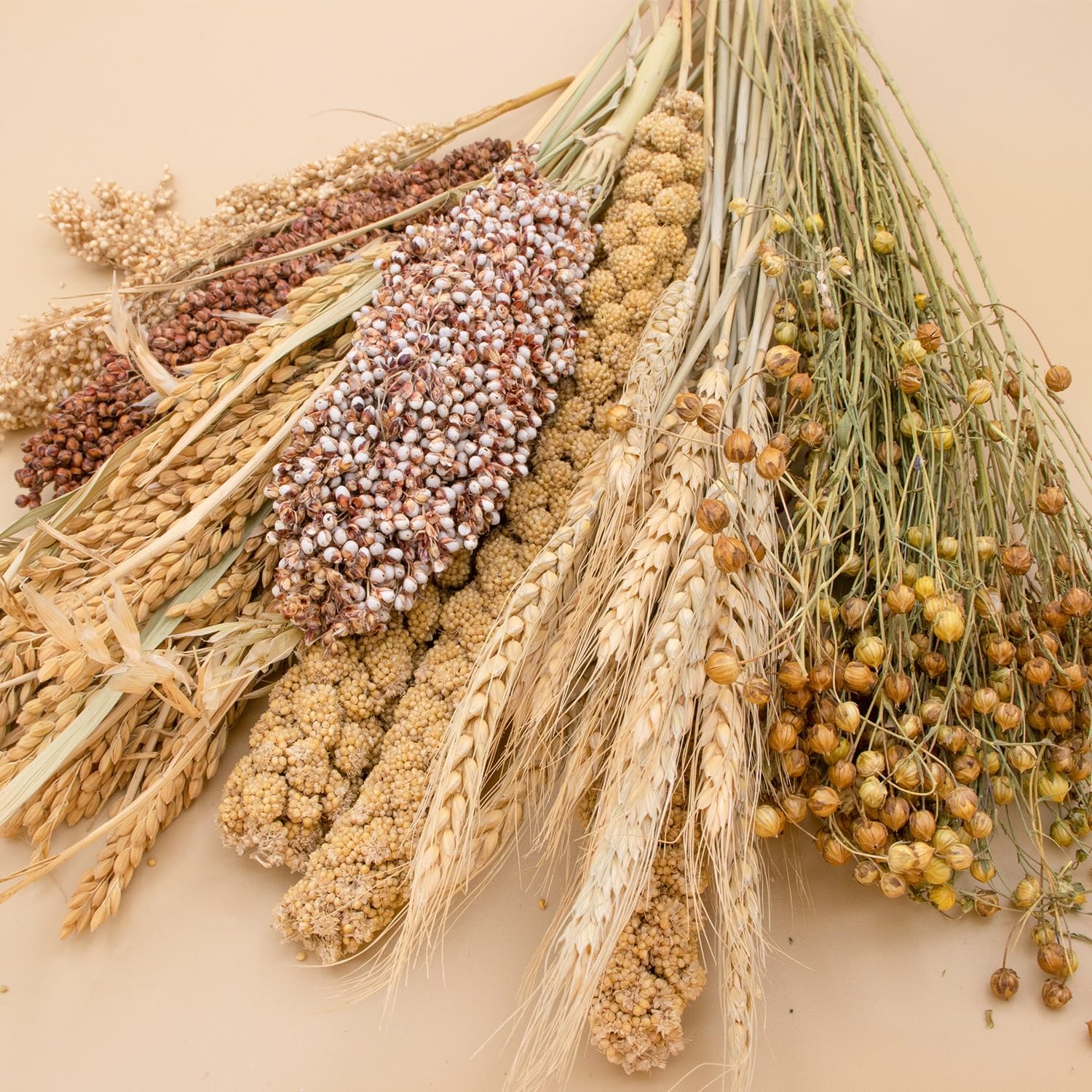 NICERINC PET sorghum sticks in multi-color enhance play and décor.