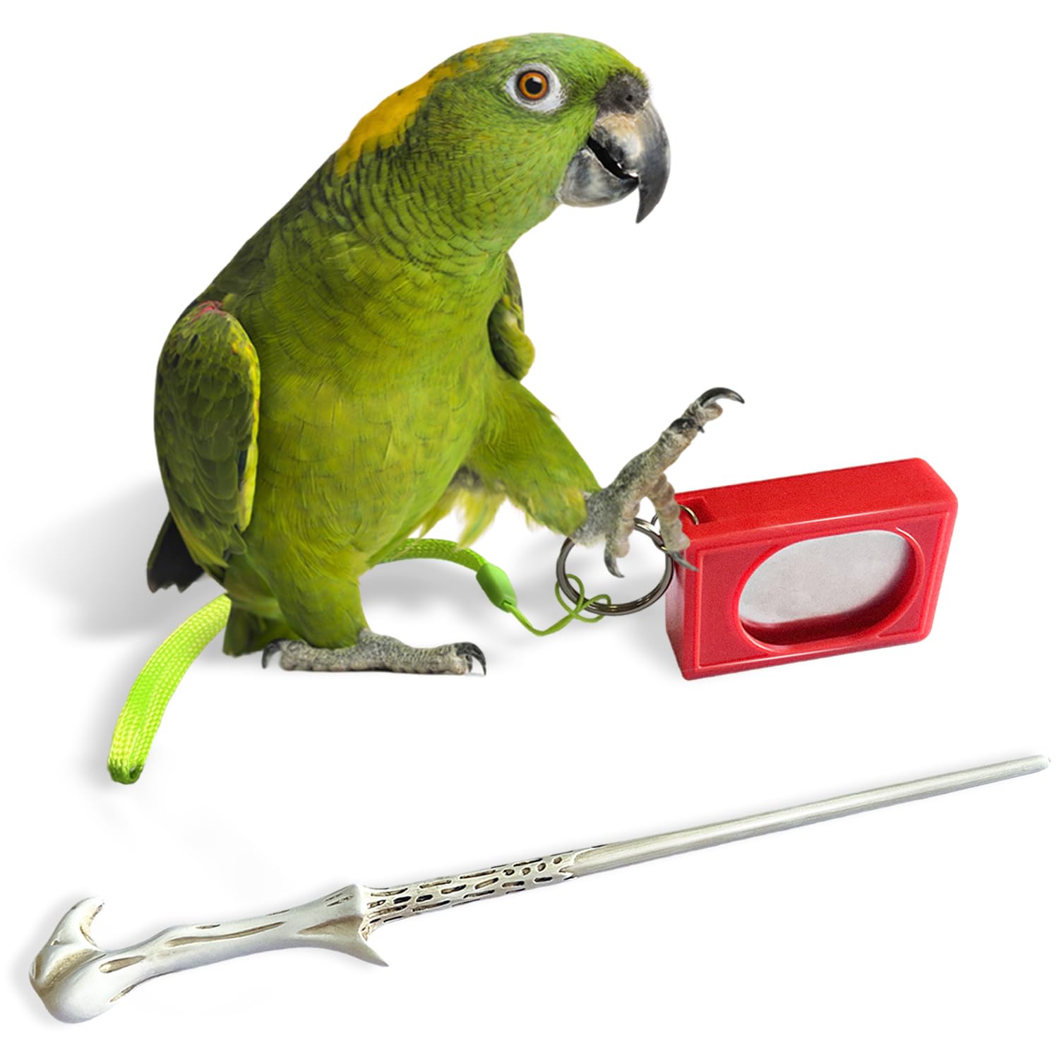 NICERINC PET parrot target stick close-up for precise guidance during training