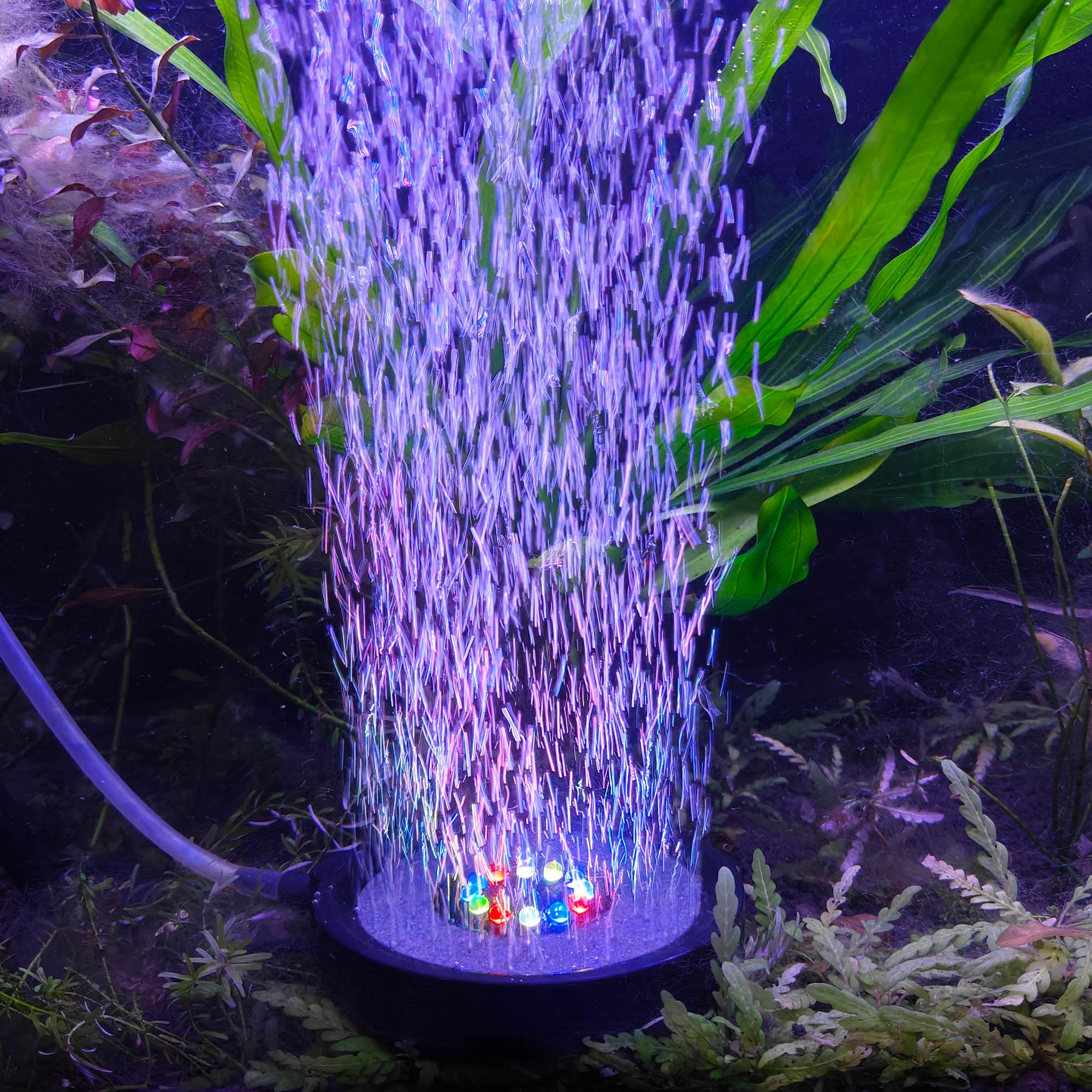NICREW bubbler disk with suction cup attached for easy tank installation