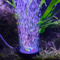 NICREW bubbler disk with suction cup attached for easy tank installation