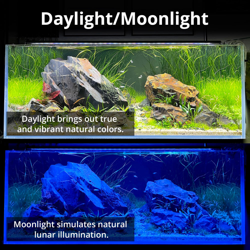 NICREW C10 light demonstrates day-night cycle ideal for fish and aquatic plants.