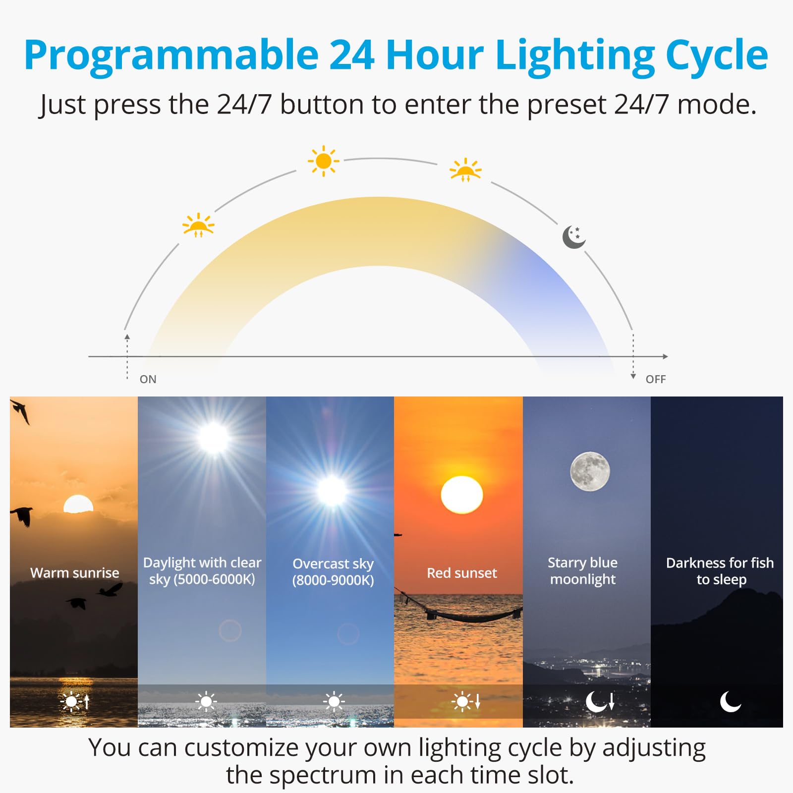 NICREW C10 sunrise-to-moonlight cycle creates natural 24/7 aquarium ambience