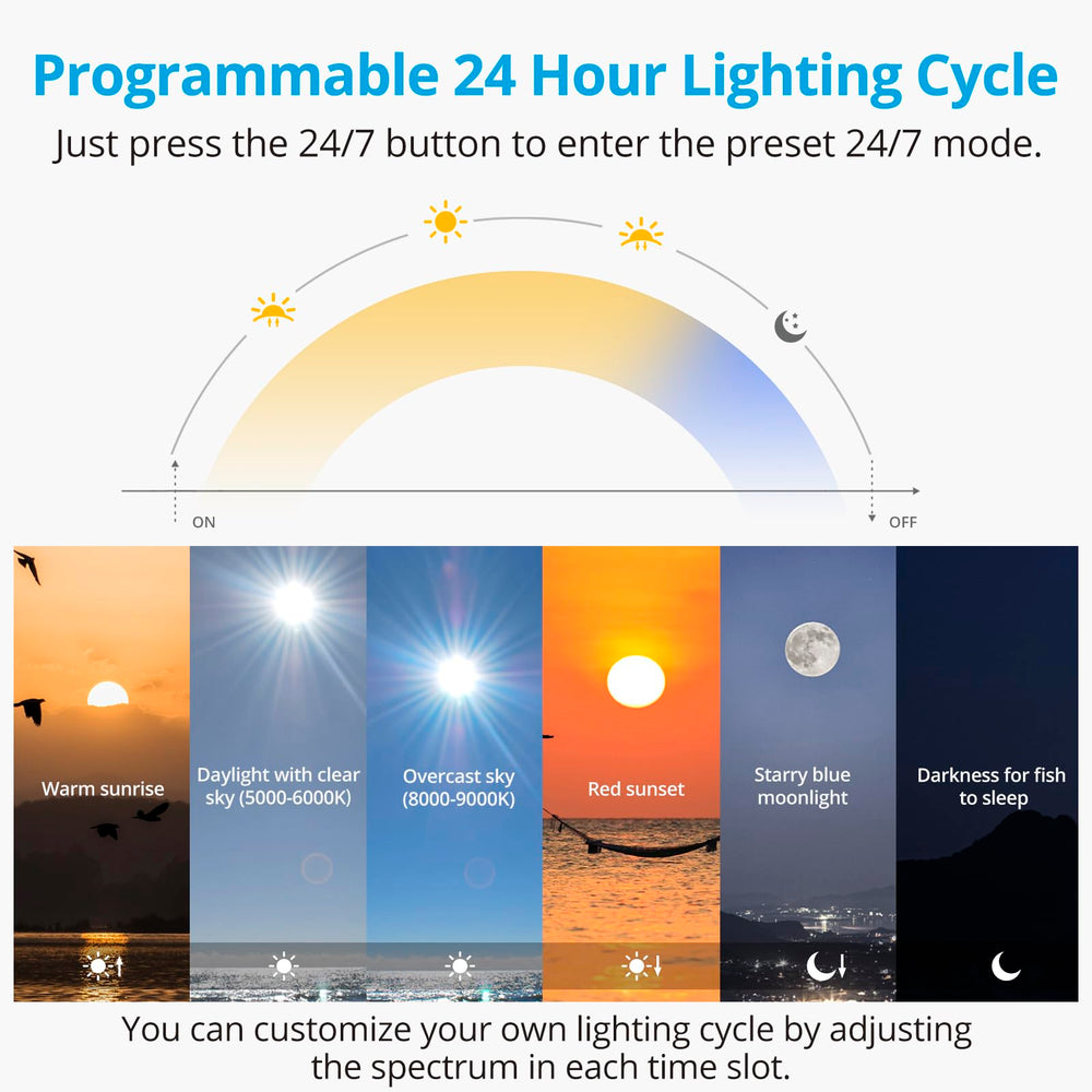 NICREW C10 sunrise-to-moonlight cycle creates natural 24/7 aquarium ambience