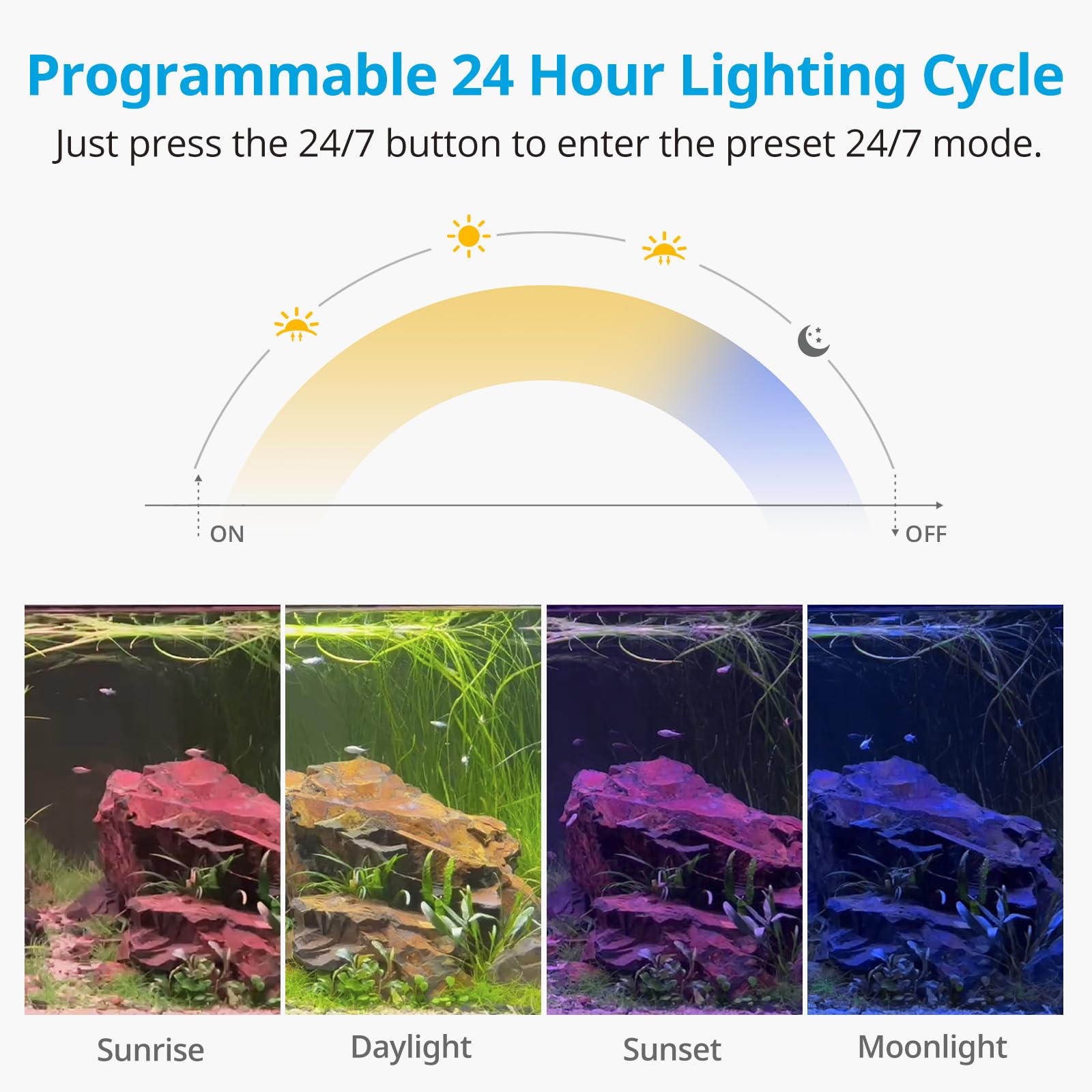 NICREW C10 warm cool blue presets illuminate the tank ambiance