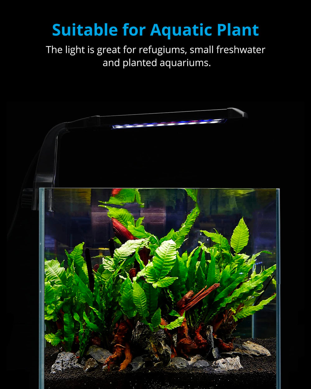 NICREW Clip-on Aquarium Light color rendering highlights vibrant daytime colors for aquatic life