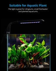 NICREW Clip-on Aquarium Light color rendering highlights vibrant daytime colors for aquatic life