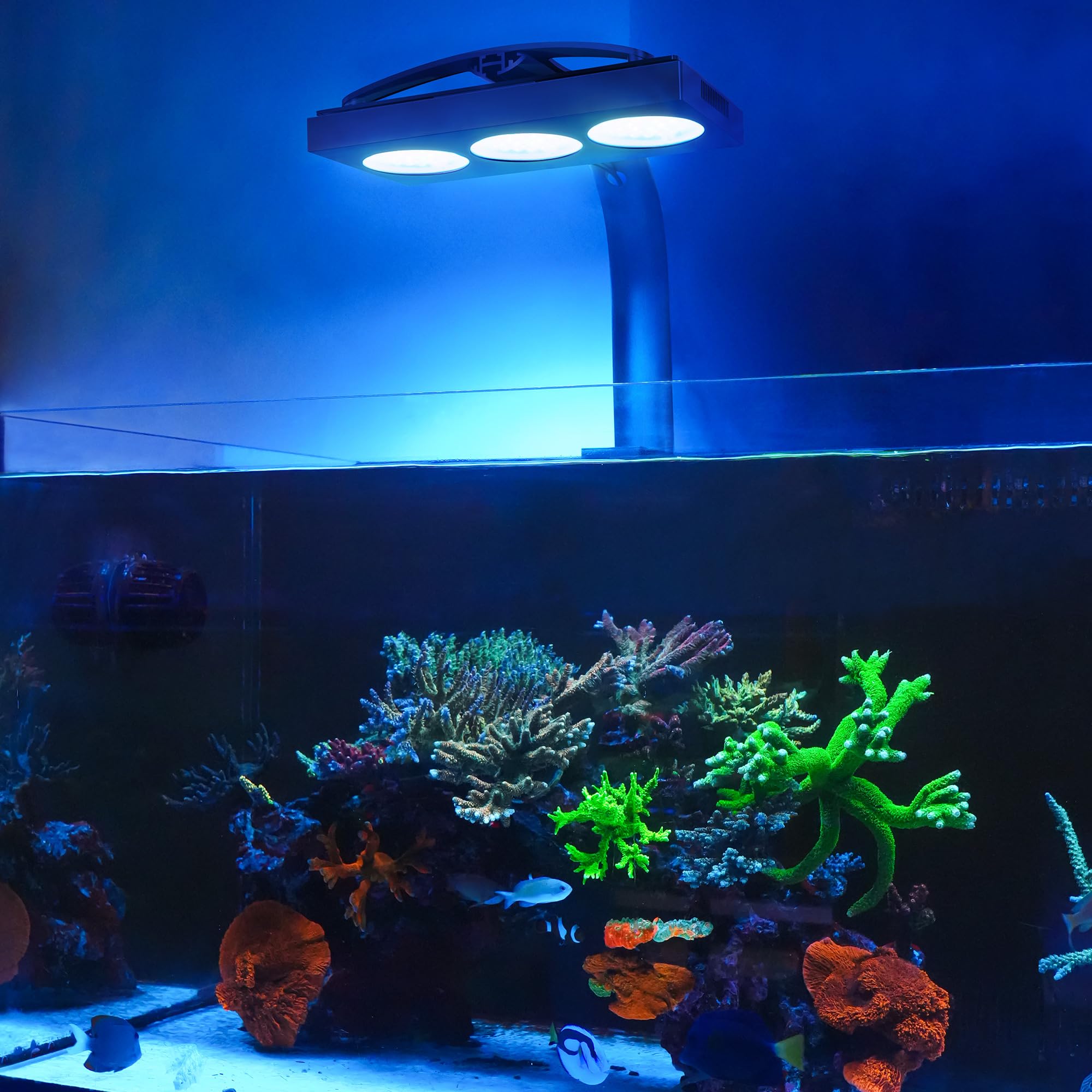NICREW HyperReef 200 Gen 2 in-tank setup for SPS/LPS tanks