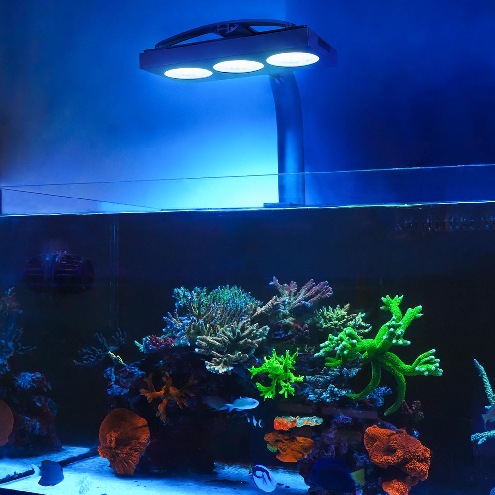 NICREW HyperReef 200 Gen 2 in-tank setup for SPS/LPS tanks