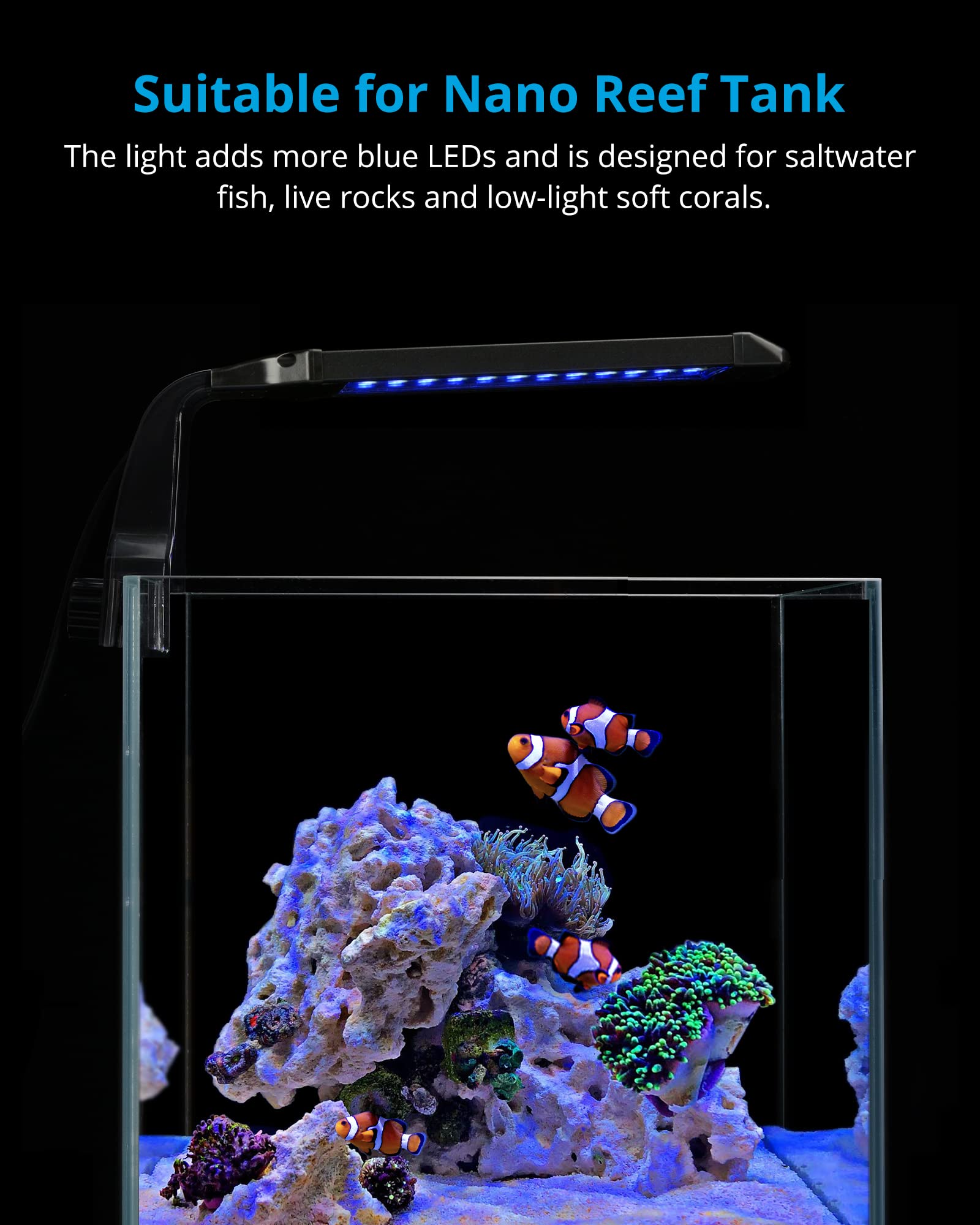 NICREW Marine clip-on light close-up shows LED details for vivid color.