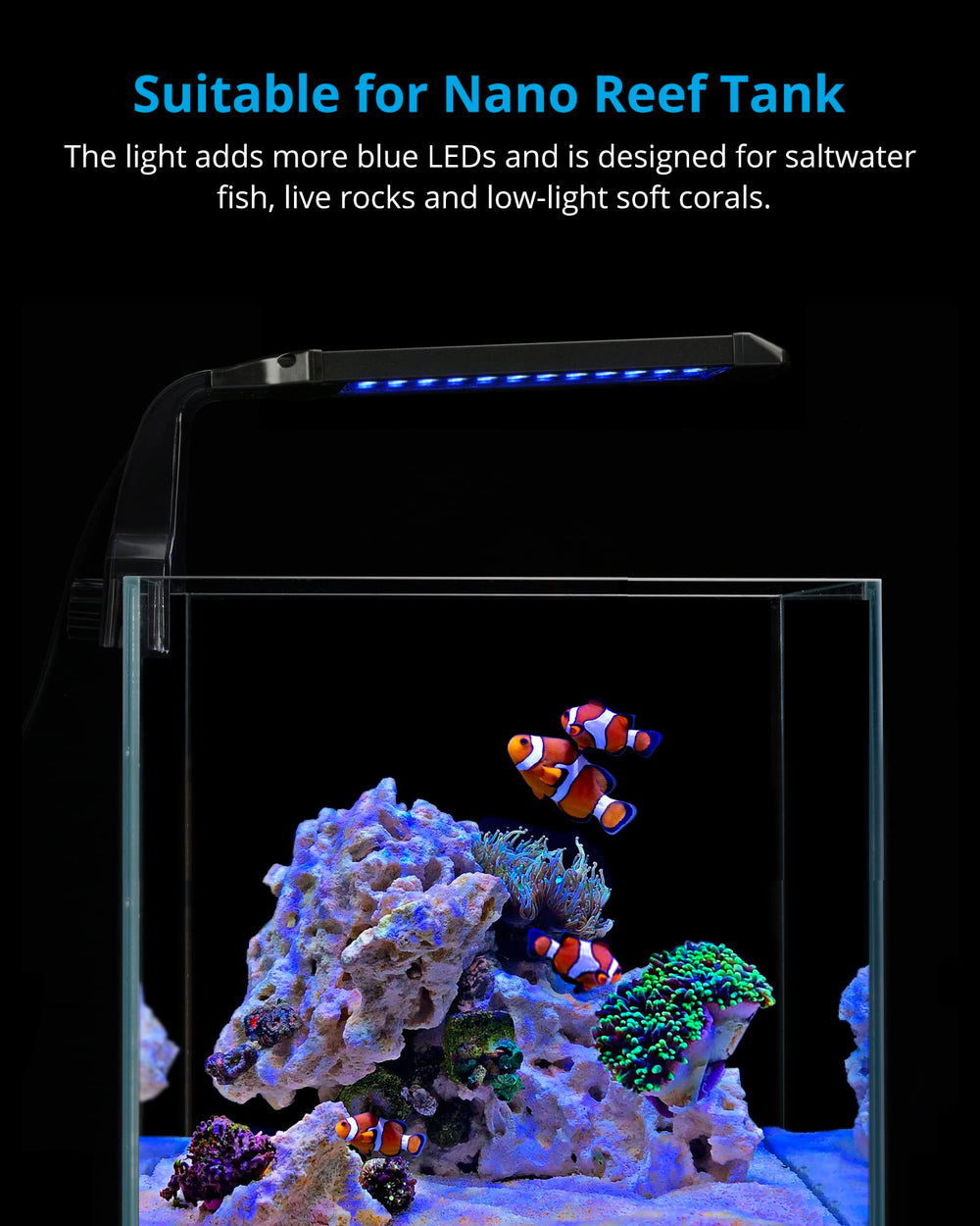 NICREW Marine clip-on light close-up shows LED details for vivid color.