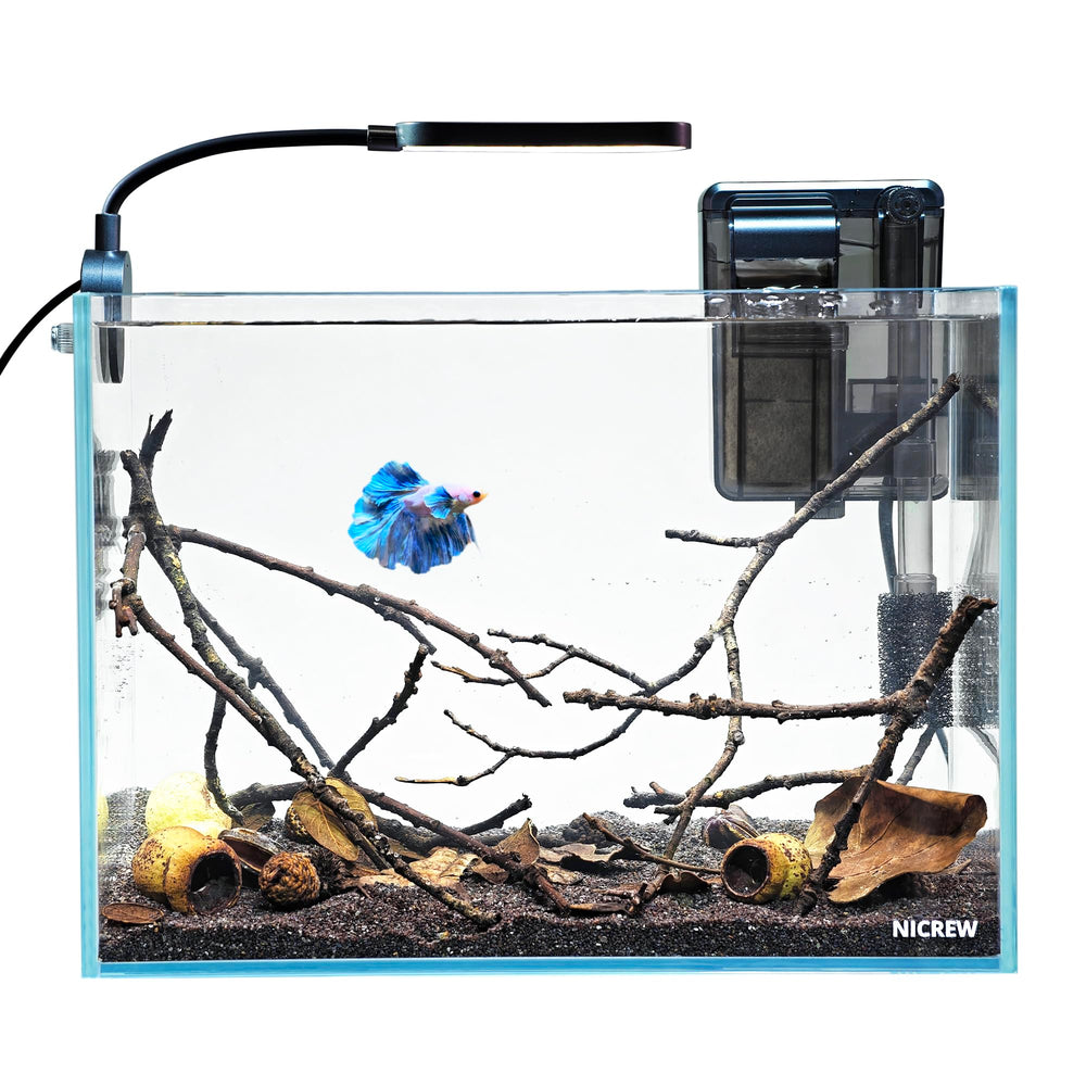 NICREW Nano Nature 2.5-gallon tank with rimless glass for vibrant viewing