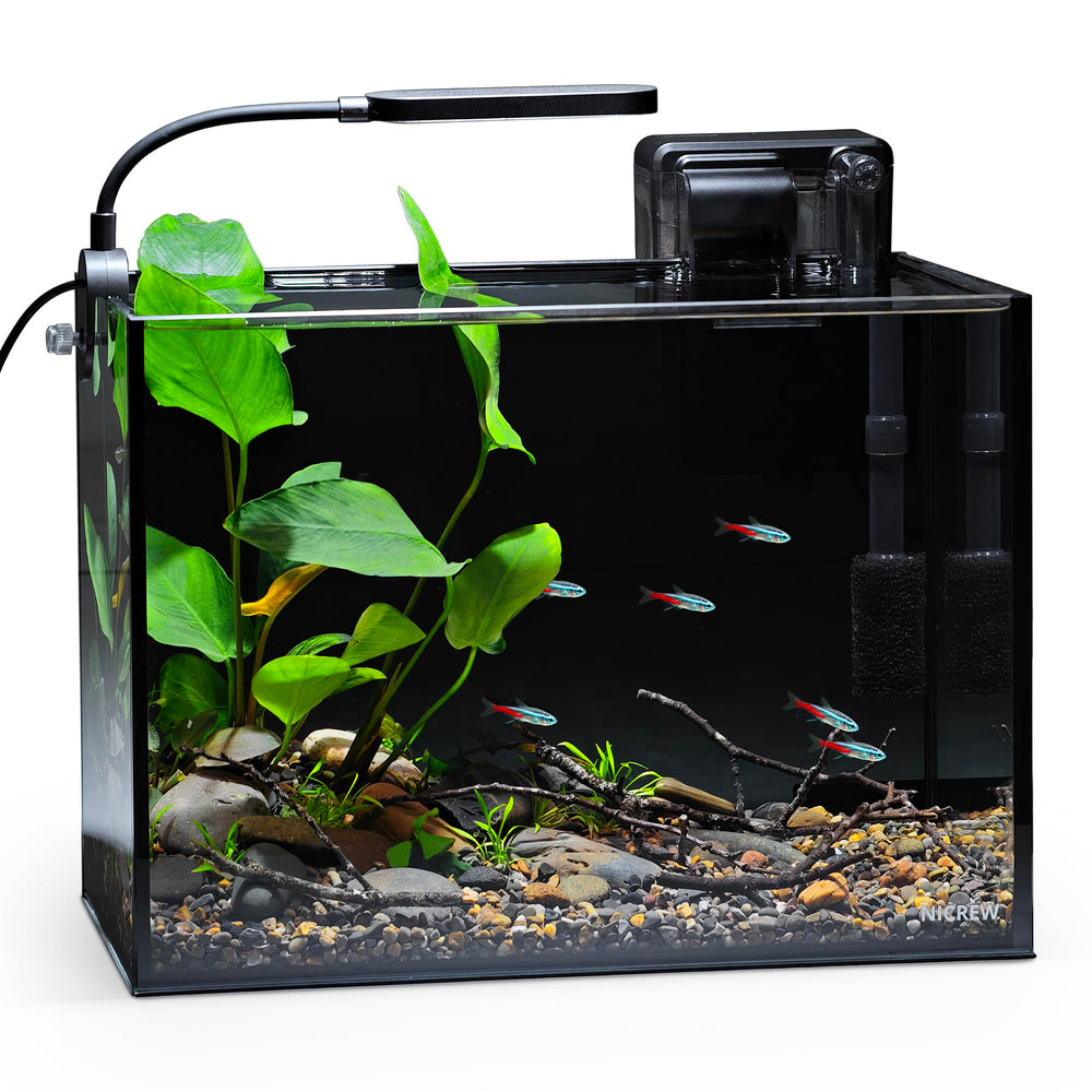 NICREW Nano Nature desktop aquarium displays a compact design for small spaces.