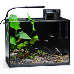 NICREW Nano Nature desktop aquarium displays a compact design for small spaces.