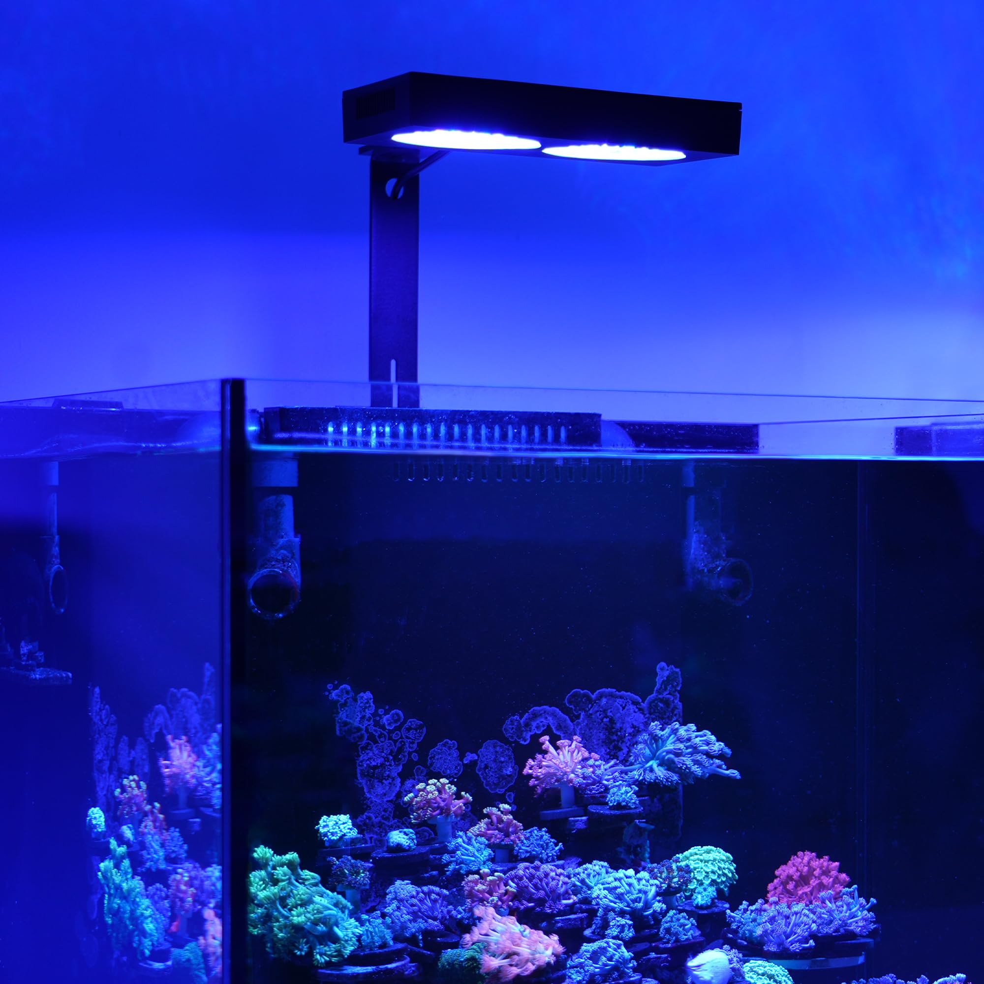 NICREW NavaReef 135W LED light rimmed/rimless tank compatibility with included mount