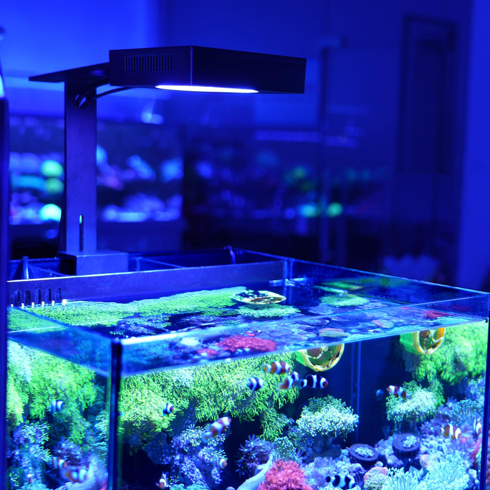 NICREW NavaReef 65 LED light quiet cooling with near-silent operation.