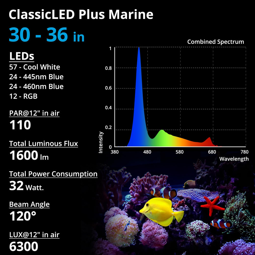 NICREW saltwater light in reef tank scene demonstrates versatile lighting for fish and corals