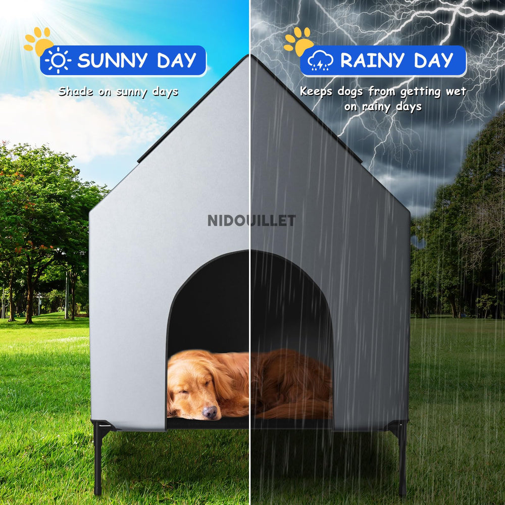 Nidouillet dog enjoying the outdoor shelter in a backyard setting.