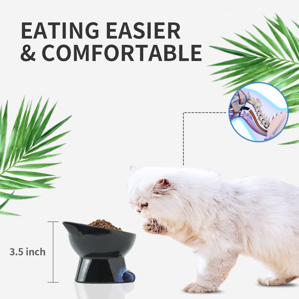 Nihow stable nonspill cat bowl prevents tipping during meals.